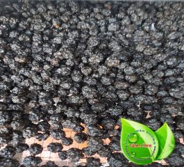 KHI UNG THƯ ĐẾN PHẦN II